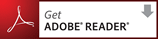 Houston bail bond forms - adobe pdf